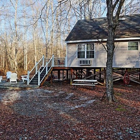 Our Private Wooded Cabin Chatham 외부 사진