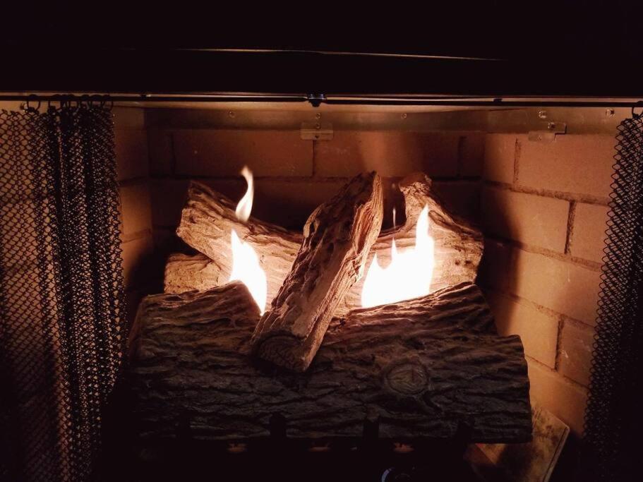 Our Private Wooded Cabin Chatham 외부 사진