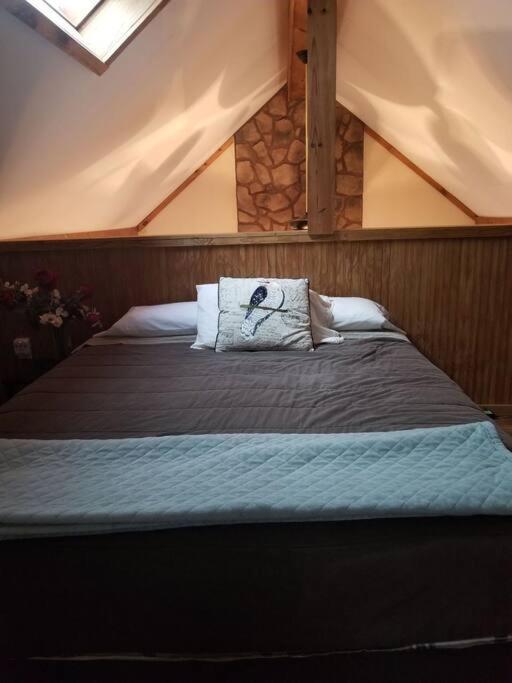Our Private Wooded Cabin Chatham 외부 사진
